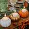 Kate Aspen White Pumpkin 2-in-1 Tealight Candlestick Holder Set, 6ct.